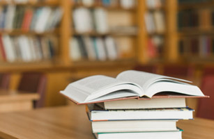 Bibliografía Recomendada